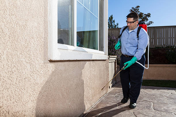 Best Seasonal Pest Control  in Parks, AZ